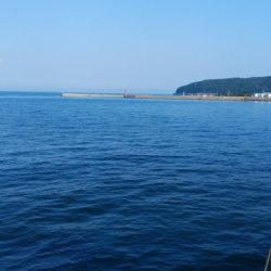 炎天下のキス釣行