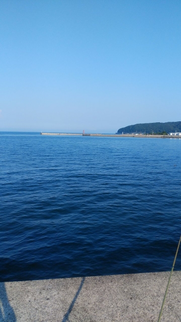 炎天下のキス釣行