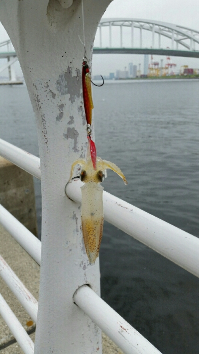 舞洲アジングNo3