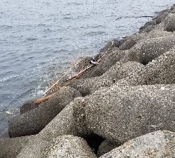 台風前のショアジギ