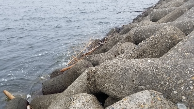 台風前のショアジギ