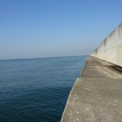 良い感じの海でした。