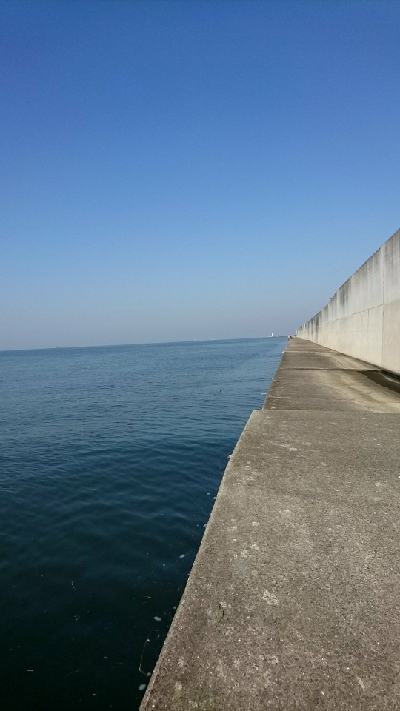 良い感じの海でした。