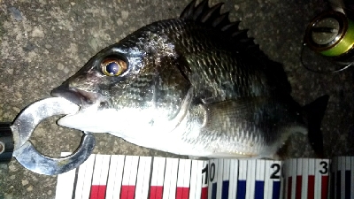 台風前に釣りはどうですか?