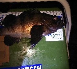 沖堤防でストレス発散ww