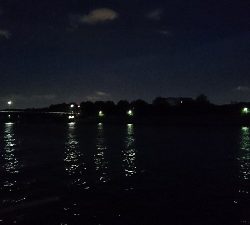 花見川チーバス