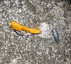 ロックフィッシュ