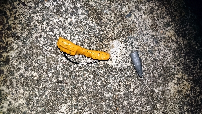 ロックフィッシュ