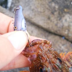 ストレス発散野島沖堤防！