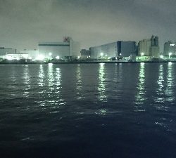 ふなっしーばす