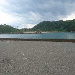 ショアジギング　ガシラ(∩´∀｀)∩ﾜｰｲ