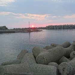 ショアスローでロックフィッシュ(∩´∀｀)∩ﾜｰｲ