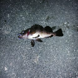 色を変えながら