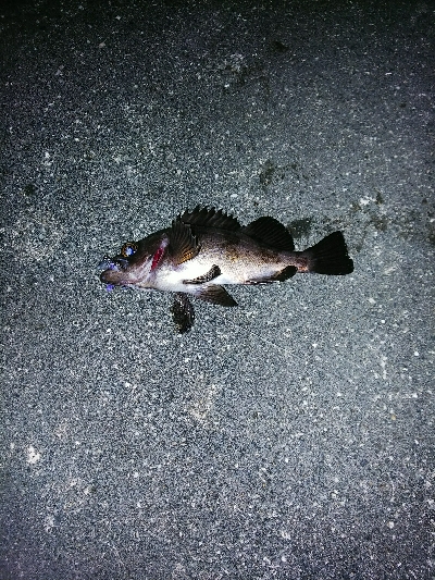 色を変えながら