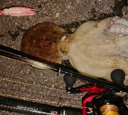 ロッドを新調しましたので墨付けです！