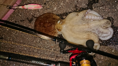 ロッドを新調しましたので墨付けです！