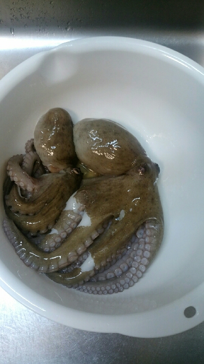 今年は渋い…。