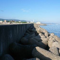 釣り部  釣行記  １８