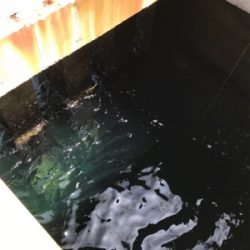 めちゃくちゃ釣れてますよ！