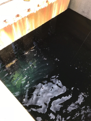 めちゃくちゃ釣れてますよ！