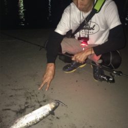 シーバスナイトゲーム☆GUNNING-STYLE