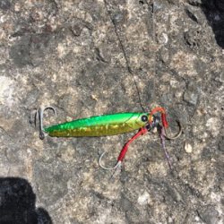 ハマチは何処かで、