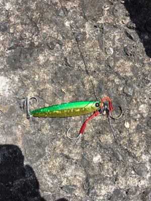 ハマチは何処かで、