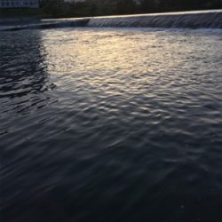 夕まづめナマズゲーム