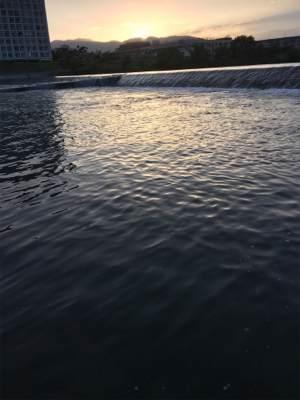 夕まづめナマズゲーム