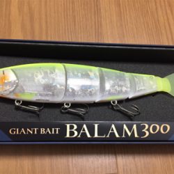 子バスしか反応しない