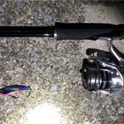 またセイゴです