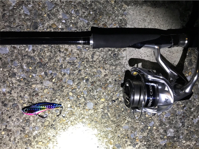 またセイゴです