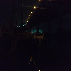 際釣り2mと限られたスペースでキビレ