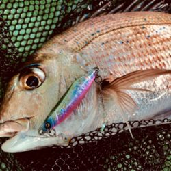 鯛ラバ 好釣果でした!