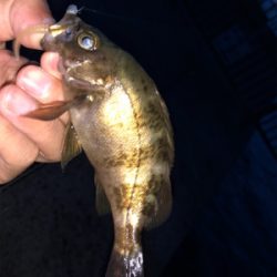 子供と海水浴帰りに♪