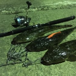 ナイトフラット