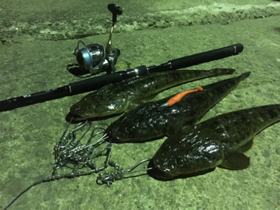 ナイトフラット