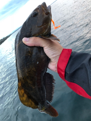 ナイトボートロック