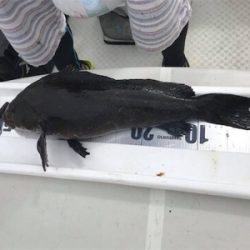 ボートロック2日目