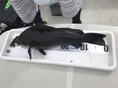 ボートロック2日目