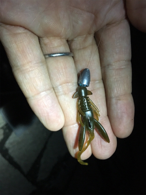 淀川ブリームゲーム 潮の流れを読む