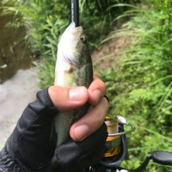 ドーン初フィッシュ！！