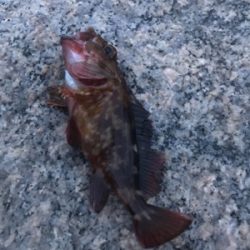 思ってたより濁ってない?