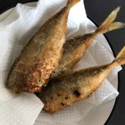 虹を眺めながらのサビキ♪