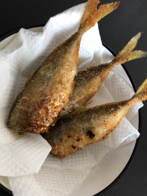 虹を眺めながらのサビキ♪