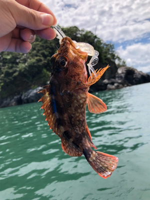 根魚