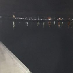 アジングでデート！