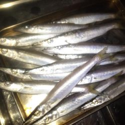 チョコっとカマッシング