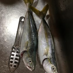 今期初LSJはバラしまくり