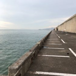 五目釣りしました